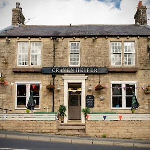 The Craven Heifer